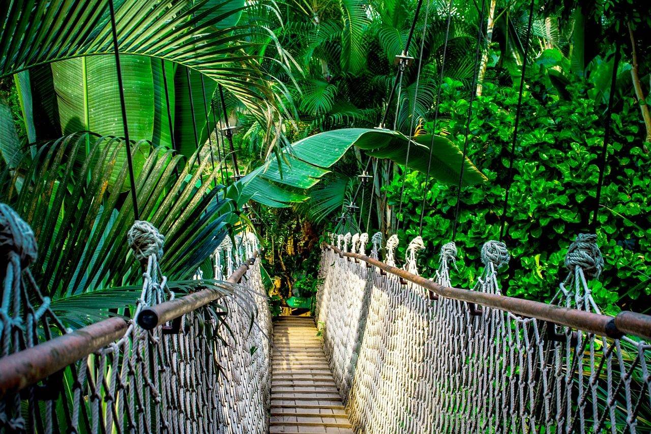 mooie jungletochten in thailand