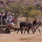 Een georganiseerde rondreis door Botswana