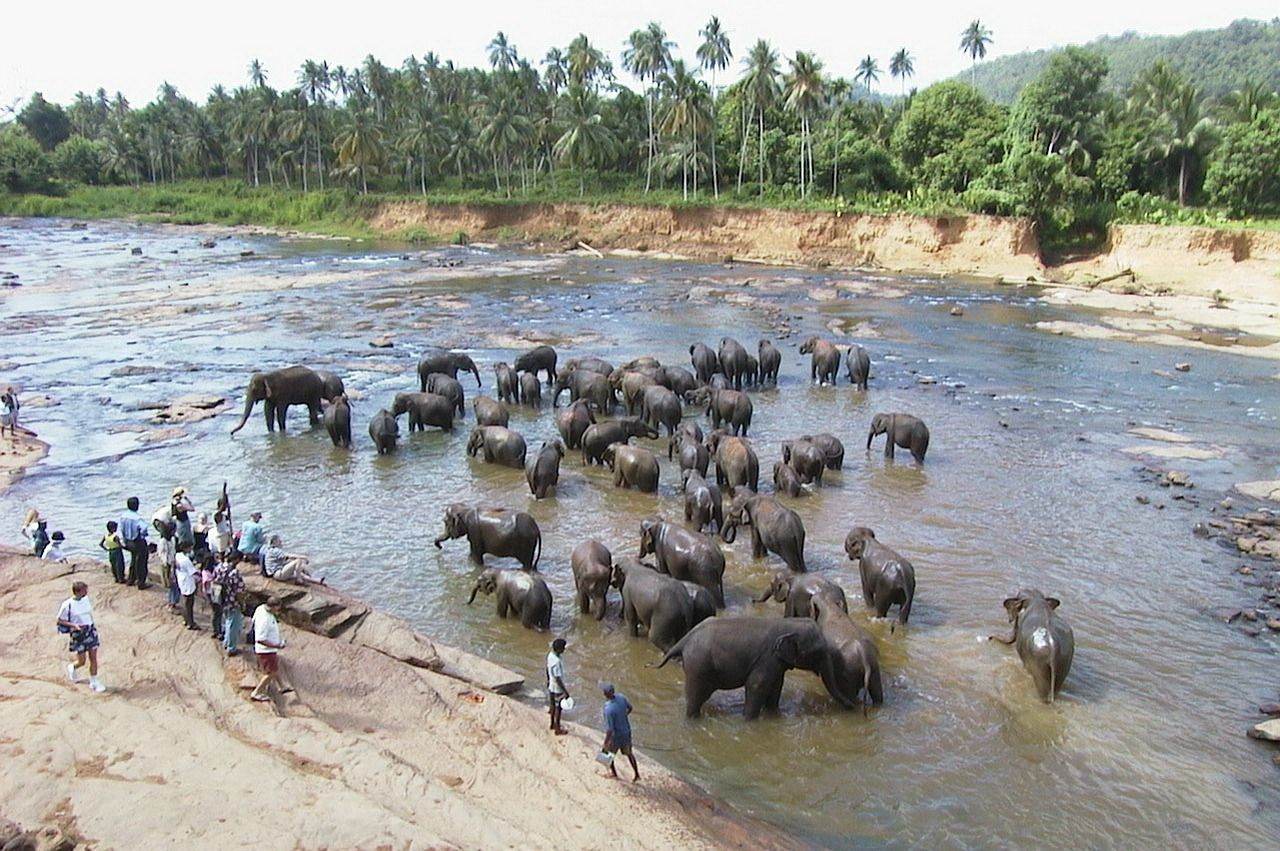 rondreis sri lanka