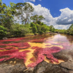 De Colombiaanse regenboogrivier