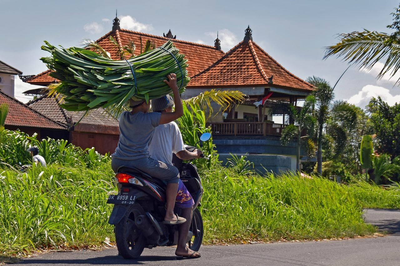 vakantie denpasar