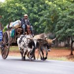 Vakantie Paraguay