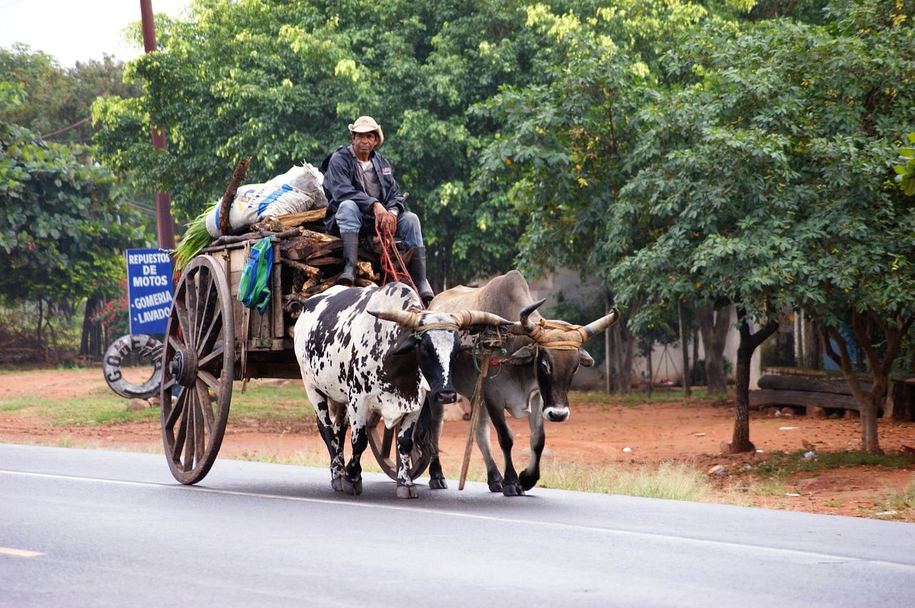 Vakantie Paraguay