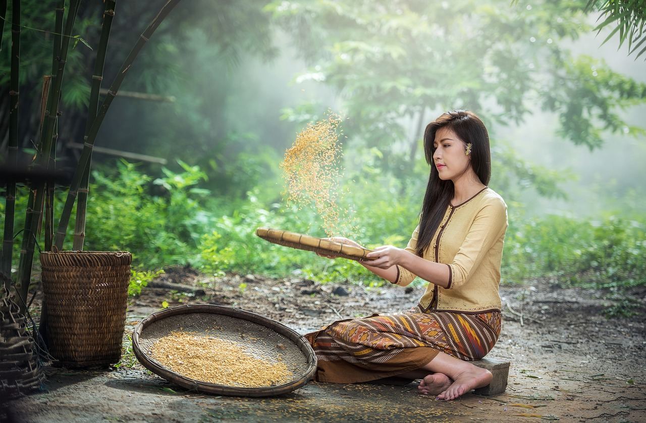 De mooiste bestemmingen in Thailand tonen Aziatische rijkdom