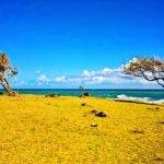 Vakantie Basse-Terre Guadeloupe