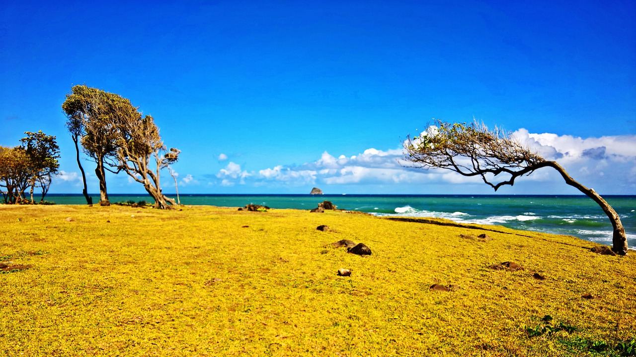 Vakantie Basse-Terre Guadeloupe