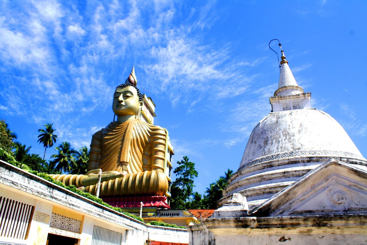 Op vakantie naar de winterzon - Sri Lanka