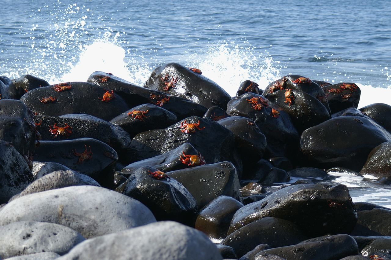 Vakantie Galápagos Eilanden