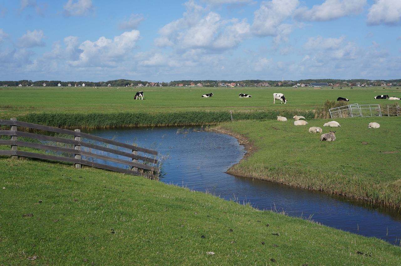 Populairste vakantiegebieden in Nederland