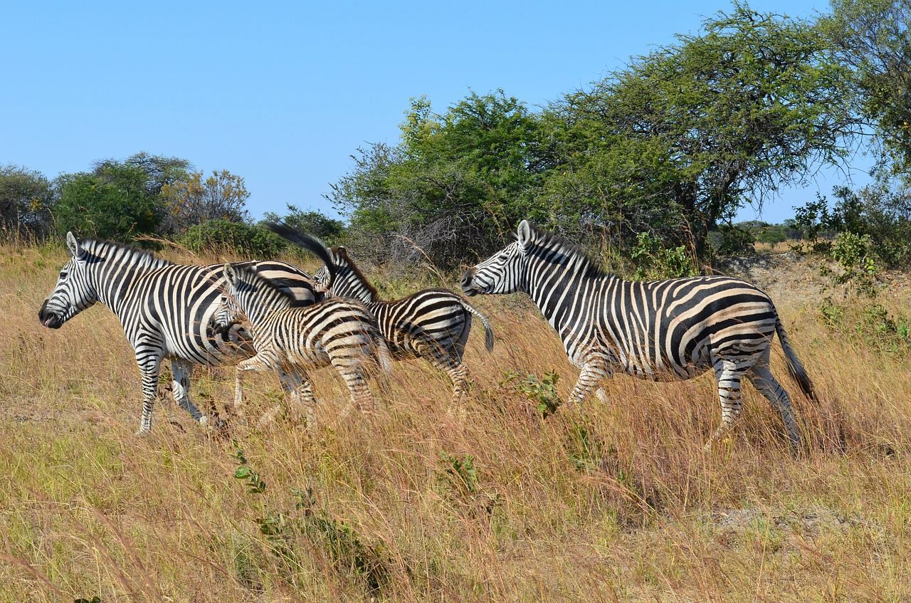 Vakantie Mutare