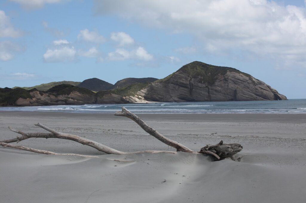 wharariki beach