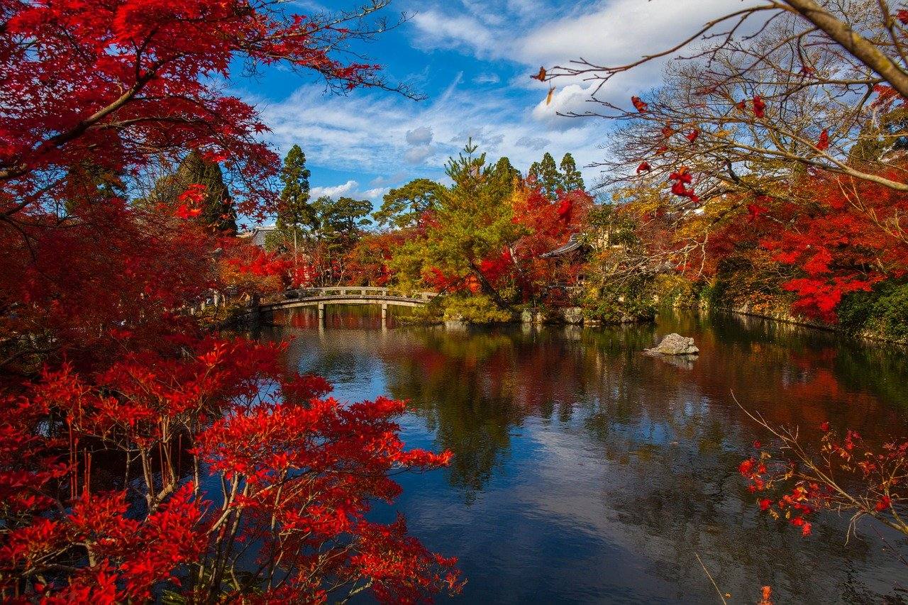 De magische stad Kyoto