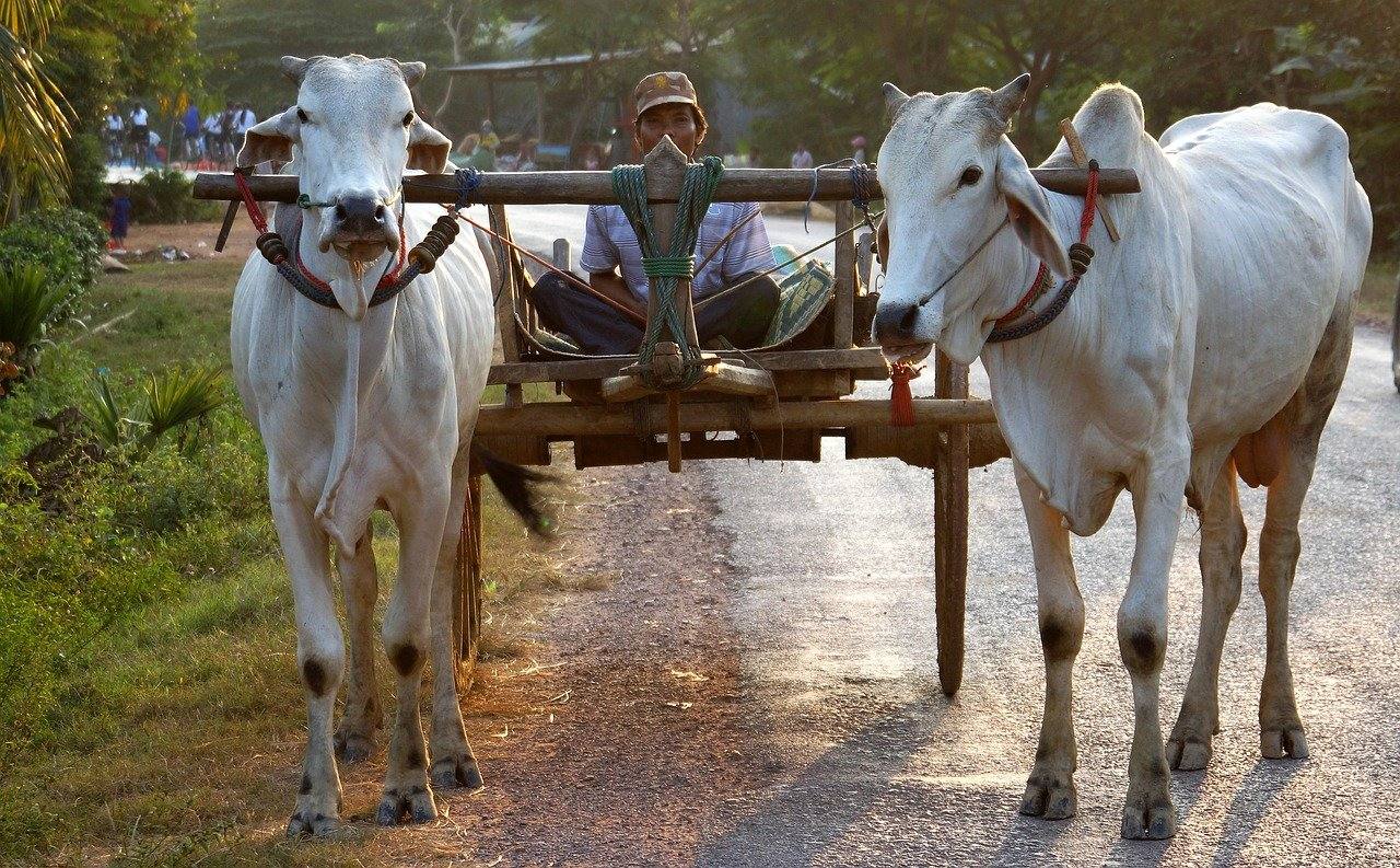 Bespaartips Cambodja