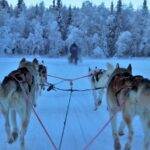 wintersportvakantie in Finland