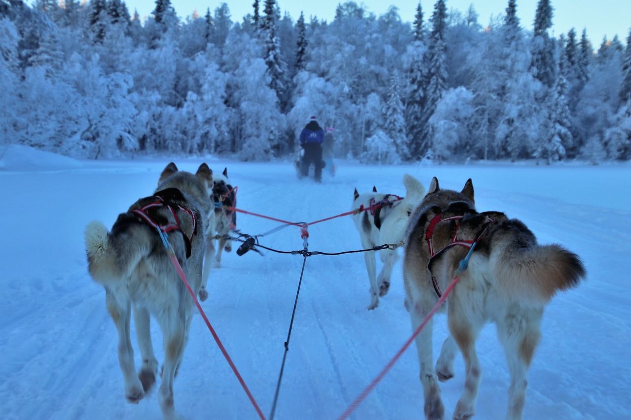 wintersportvakantie in Finland