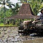 Ontdek de natuurpracht van Indonesië