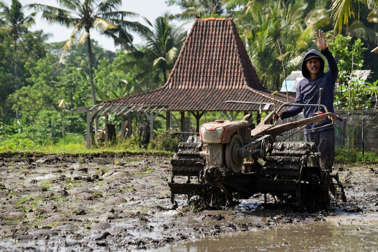 Ontdek de natuurpracht van Indonesië