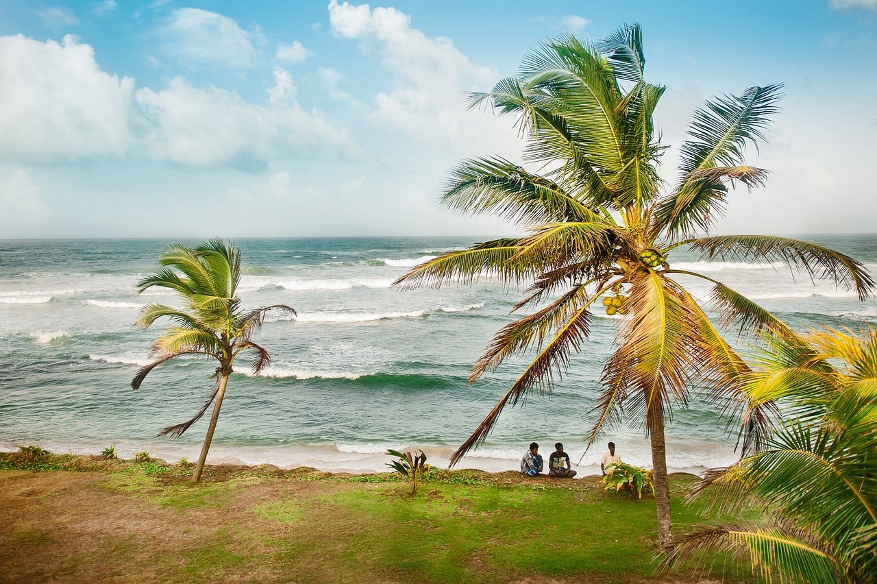 Beste reistijd voor Sri Lanka