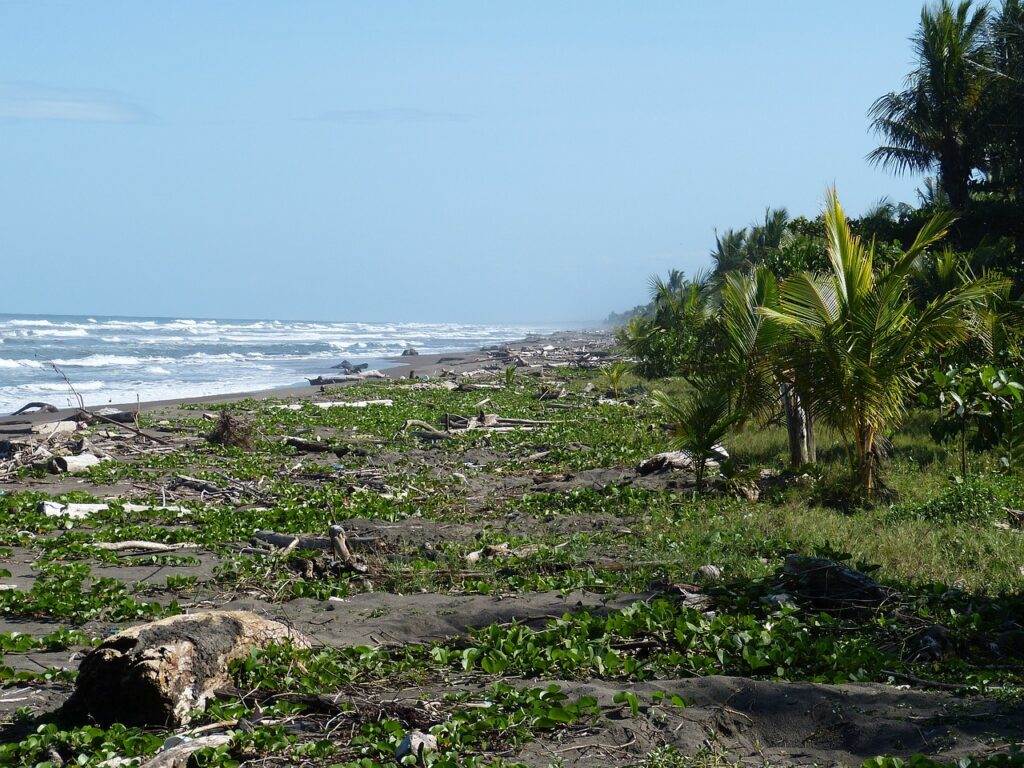 Costa Rica: een tropische reis naar het paradijs