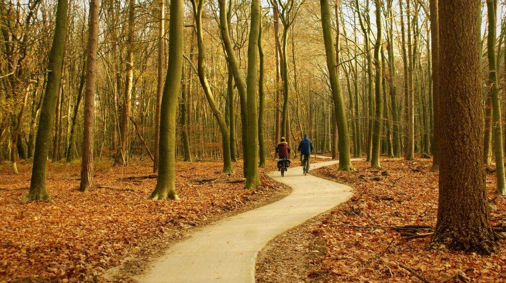 Van steden tot natuur