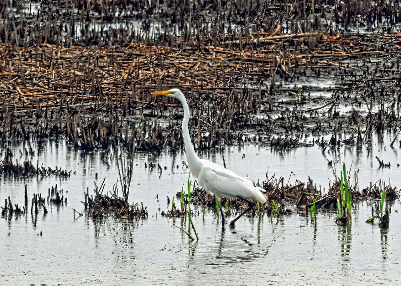 Van steden tot natuur