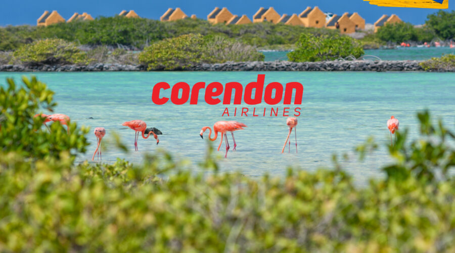 Corendon vliegt vanaf november rechtstreeks naar Bonaire