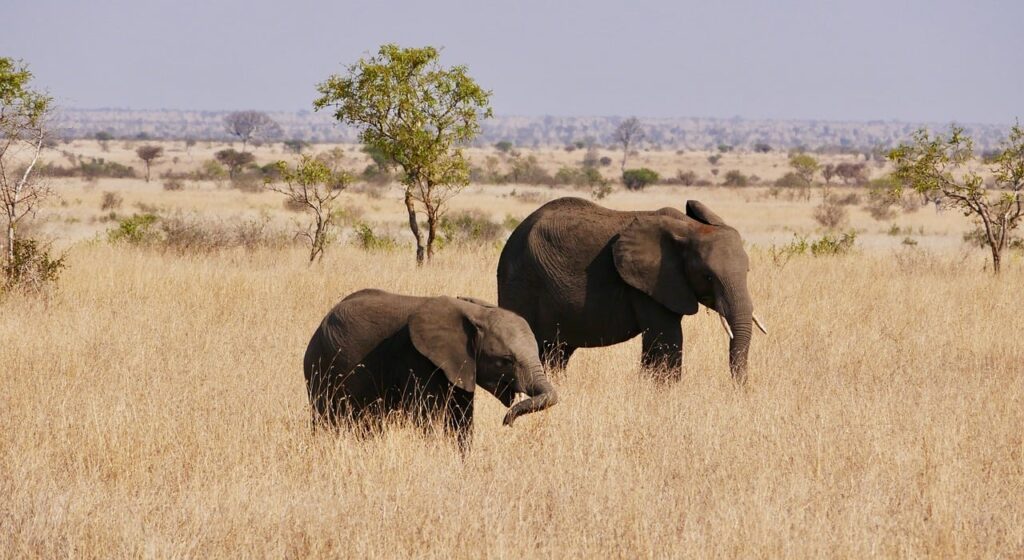 Rondreizen door het Hart van Zuid-Afrika