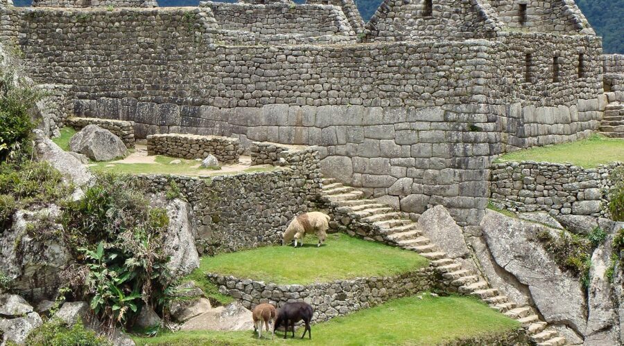 Machu Picchu