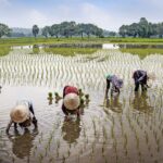 Reis door de tijd in Vietnam