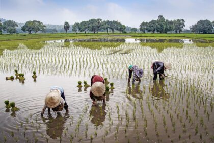 Reis door de tijd in Vietnam