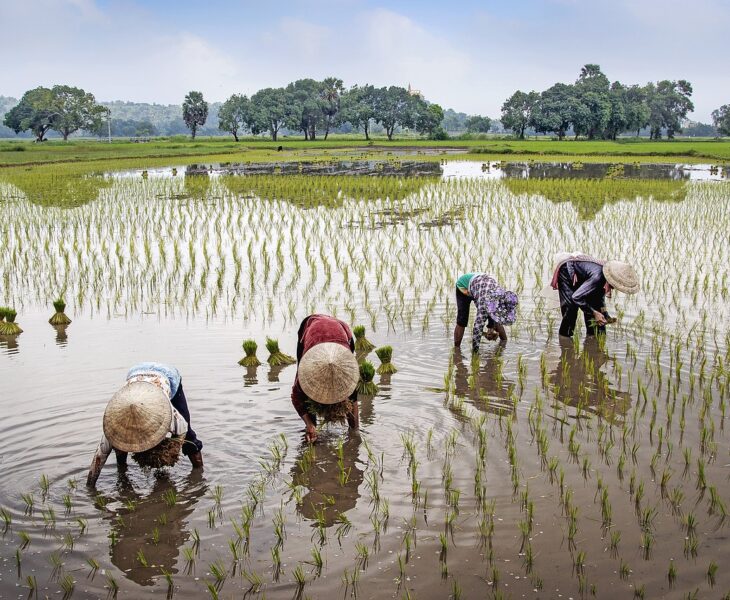 Reis door de tijd in Vietnam