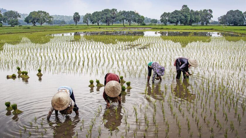 Reis door de tijd in Vietnam